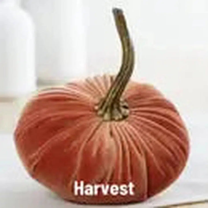 Handmade Small Velvet Pumpkins-Home + Entertain-Harvest-[option4]-[option5]-[option6]-Shop-Womens-Boutique-Store