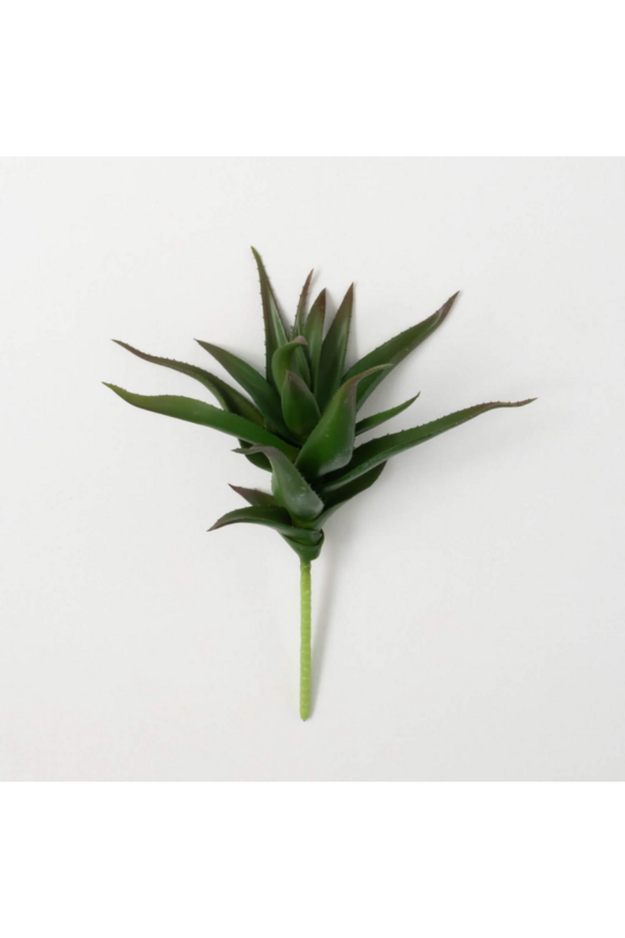 Aloe Plant Stem-Home + Entertain-[option4]-[option5]-[option6]-Shop-Womens-Boutique-Store